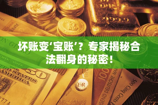 北京坏账变‘宝账’？专家揭秘合法翻身的秘密！