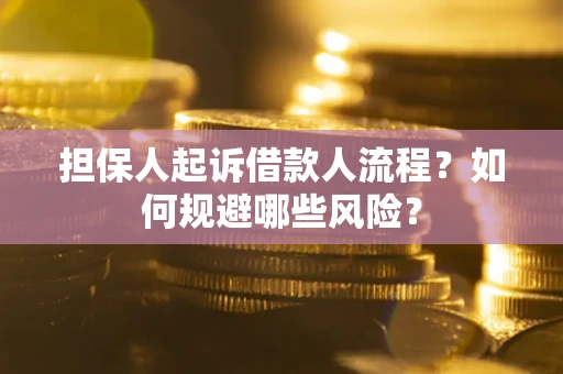 北京担保人起诉借款人流程？如何规避哪些风险？