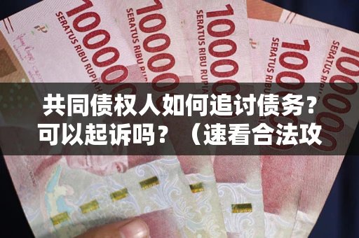 北京共同债权人如何追讨债务？可以起诉吗？（速看合法攻略）
